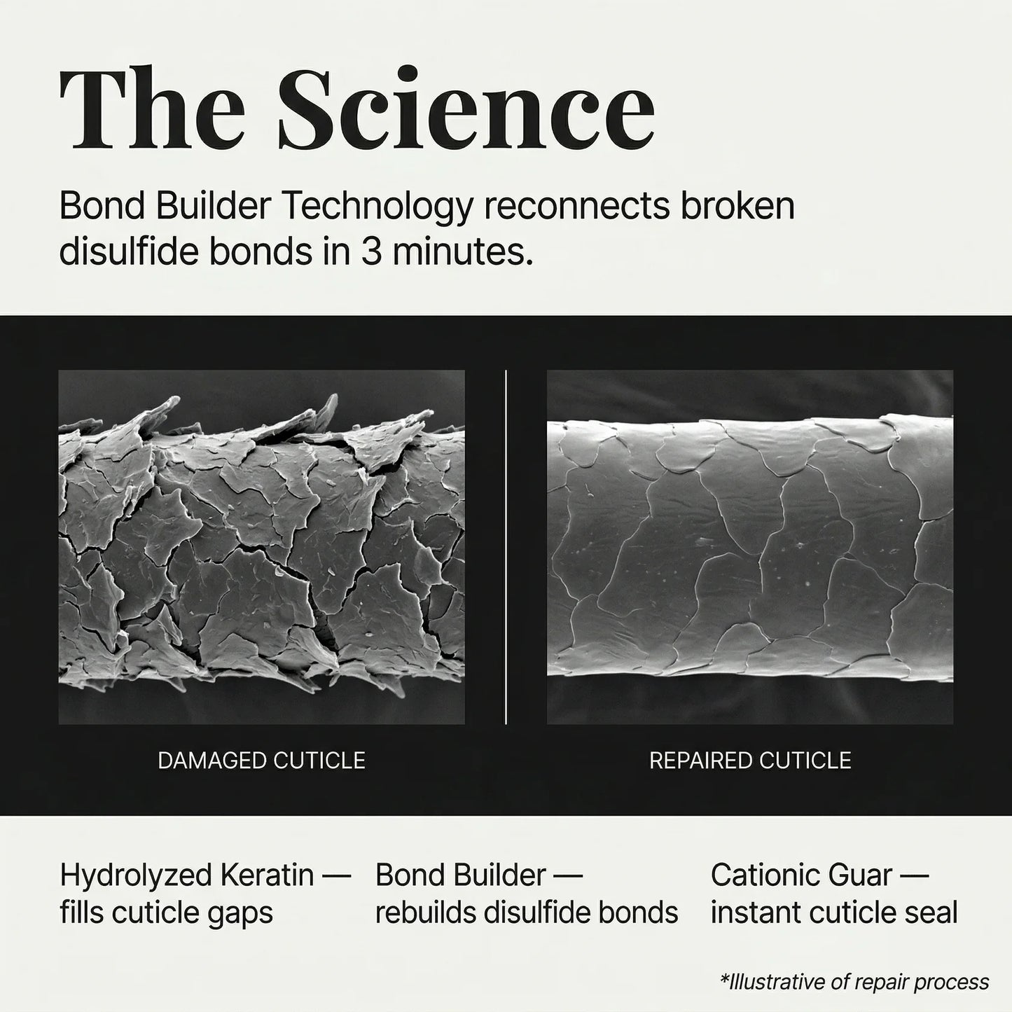 Bond Gloss Mask