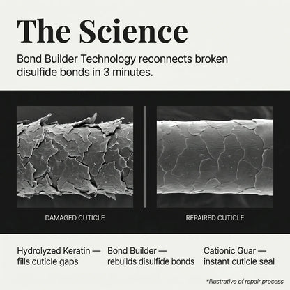 Bond Gloss Mask